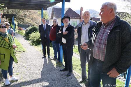 Rez kamniške trte, ki je potomka najstarejše vinske trte na svetu (1)